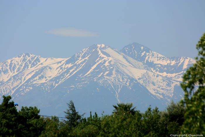 The Canigou Ille sur Tt / FRANCE 