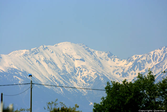 De Canigou Ille sur Tt / FRANKRIJK 