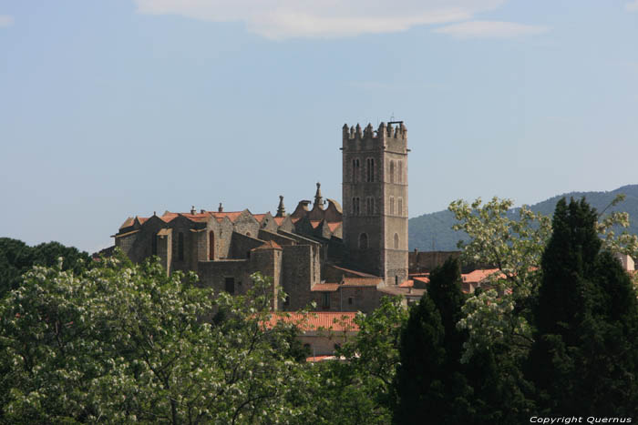 Carmelites' church Ille sur Tt / FRANCE 