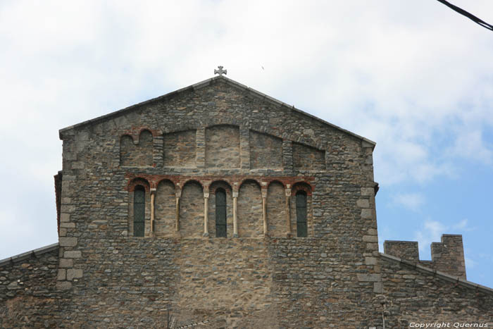 Sint-Petrus-van-Riuferrerkerk Arles Sur Tech / FRANKRIJK 