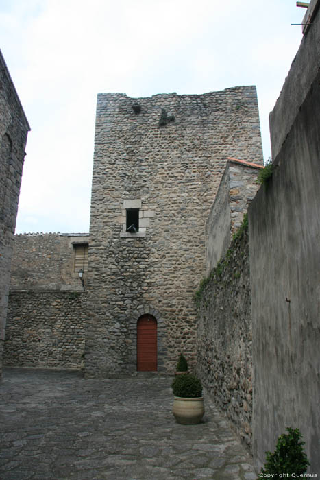 Sint-Petrus-van-Riuferrerkerk Arles Sur Tech / FRANKRIJK 