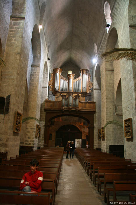 Sint-Petrus-van-Riuferrerkerk Arles Sur Tech / FRANKRIJK 