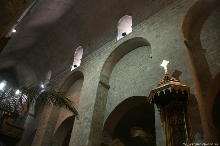 Sint-Petrus-van-Riuferrerkerk Arles Sur Tech / FRANKRIJK 