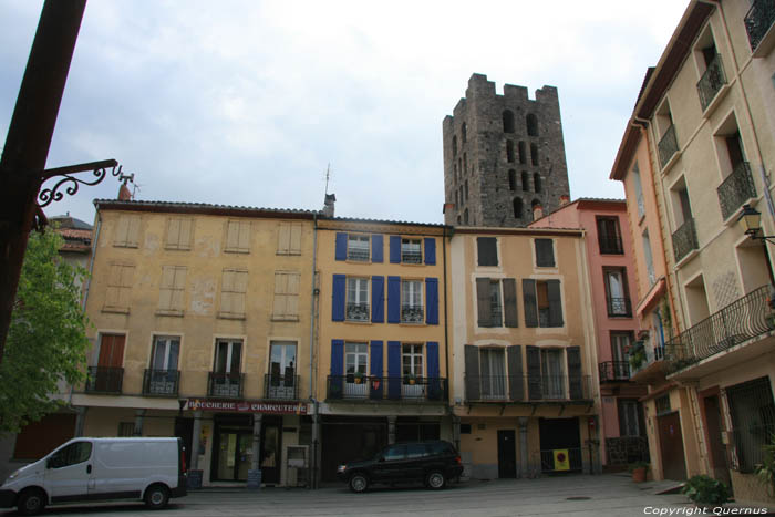 Sint-Sauveurkerk Arles Sur Tech / FRANKRIJK 