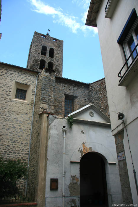 Saint-Saver church Arles Sur Tech / FRANCE 