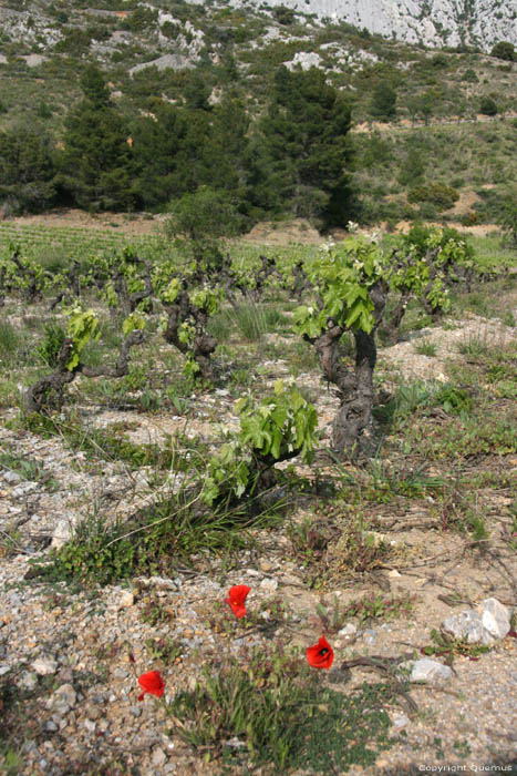 Vingrau Rocks Vingrau / FRANCE 