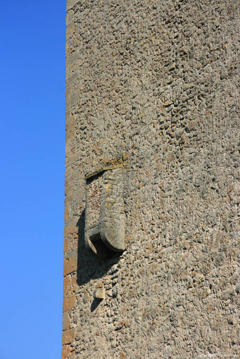 Donjon Douzon in Saint-Pourain-sur-Sioule / FRANKRIJK 