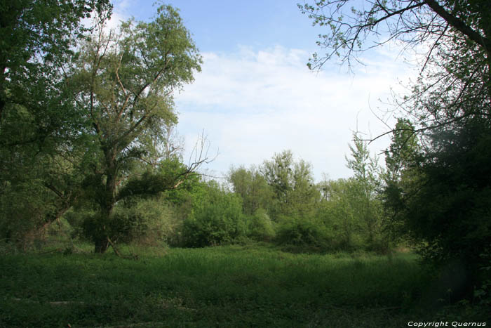 Sioule prs du Camping - Val d'Allier - Rserve d'oiseaux Chtel de Neuvre / FRANCE 