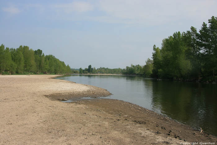 Sioule close to camping - Allier Valley - Bird Reserve Chtel de Neuvre / FRANCE 