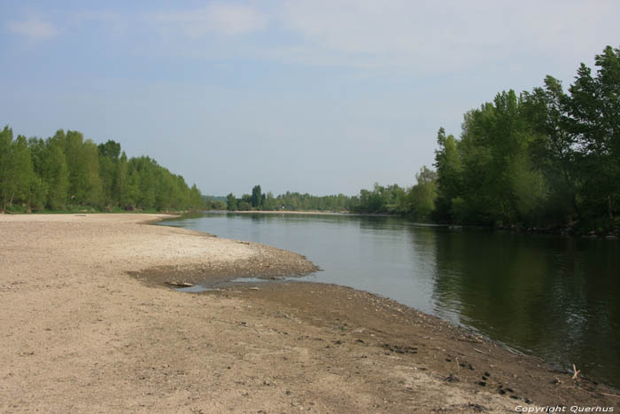 Sioule prs du Camping - Val d'Allier - Rserve d'oiseaux Chtel de Neuvre / FRANCE 