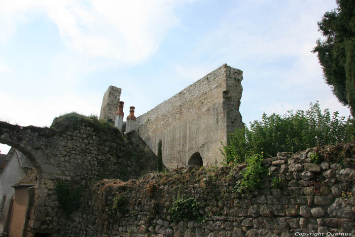 Ruines ancien Chteau Verneuil en Bourbonnais / FRANCE 