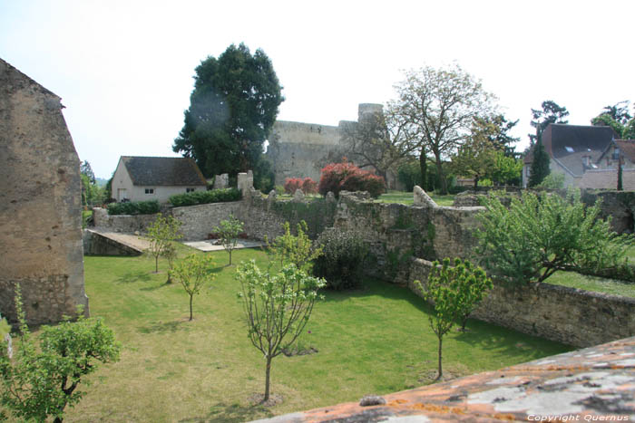 Ruins Former Castle Verneuil en Bourbonnais / FRANCE 