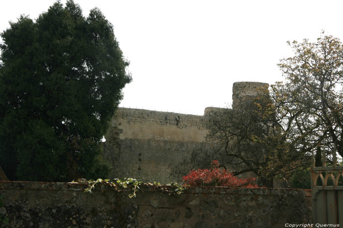 Ruins Former Castle Verneuil en Bourbonnais / FRANCE 