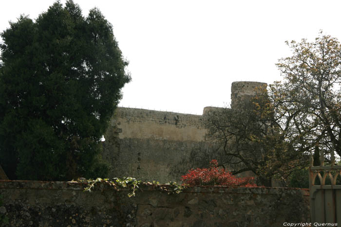 Ruines ancien Chteau Verneuil en Bourbonnais / FRANCE 