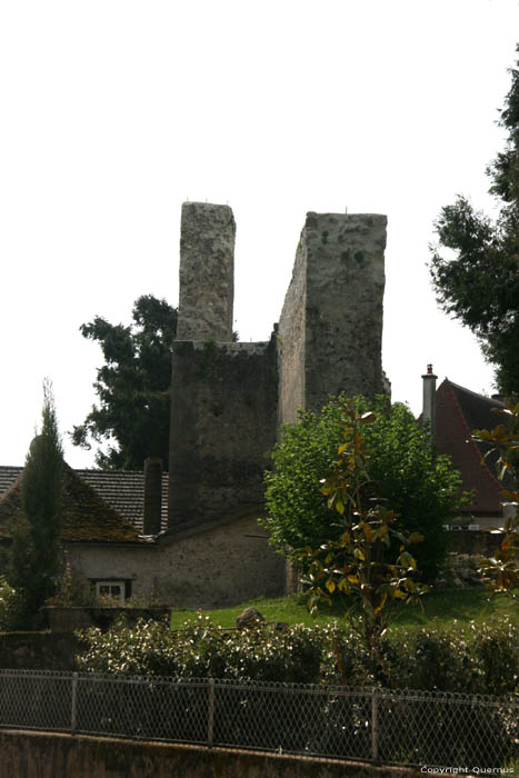 Runes oud kasteel Verneuil en Bourbonnais / FRANKRIJK 