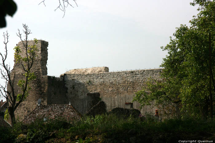 Runes oud kasteel Verneuil en Bourbonnais / FRANKRIJK 