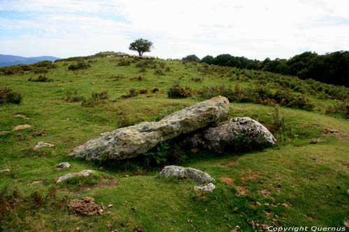 Dolmen de Soroluze  