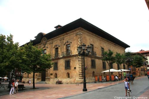 Hoger Tribunaal OVIEDO / Spanje 