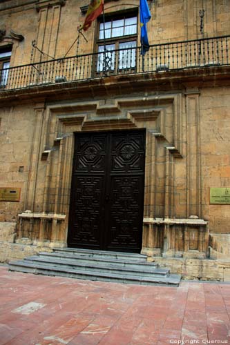 Hoger Tribunaal OVIEDO / Spanje 