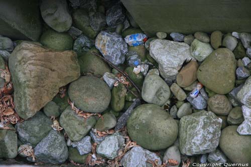 Crab graveyard Tazones / Spain 