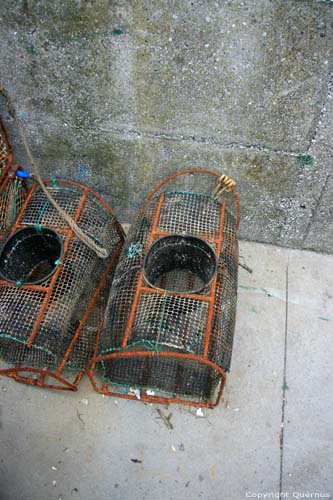 Cages de Crabes Tazones / Espagne 
