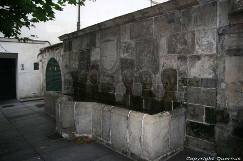 Fountain Avils / Spain 