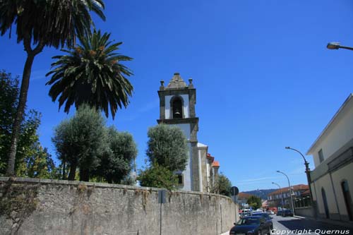 Palmbomen Braga in BRAGA / Portugal 