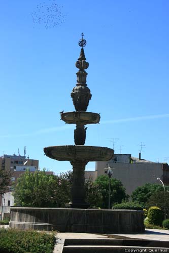 Fountain Braga in BRAGA / Portugal 