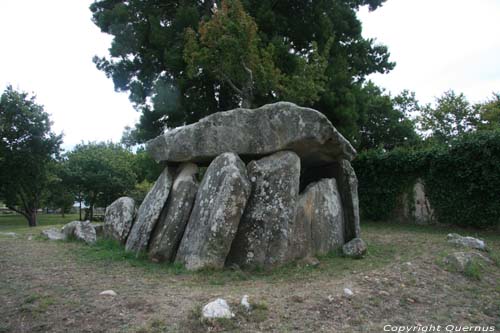 Dolmen de Barrosa Vila Praia de Ancora  Viana do Castelo / Portugal 