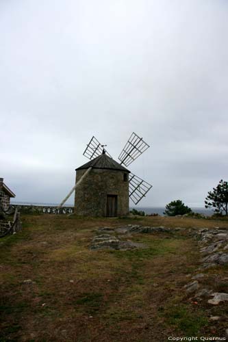 Windmills (Cimo Mill and Marinheiro Mill) (Moinho) Moinhos / Portugal 