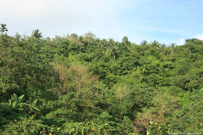 Vue depuis Parc National de Quezon Pagbilao / Philippines 