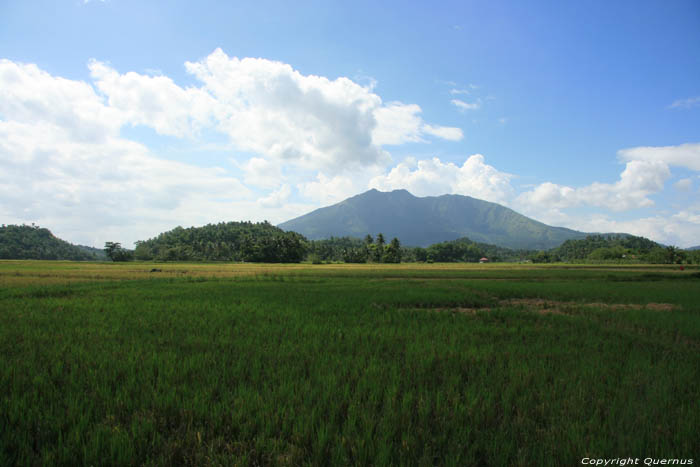 Paysage avec champs de riz et Iriga montagne Buhi / Philippines 