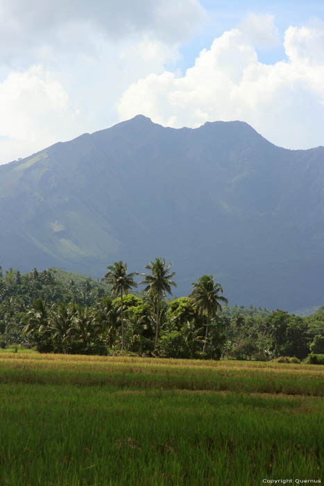 Paysage avec champs de riz et Iriga montagne Buhi / Philippines 