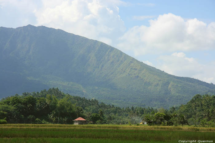 Landscape with rice fields and mount Iriga Buhi / Philippines 