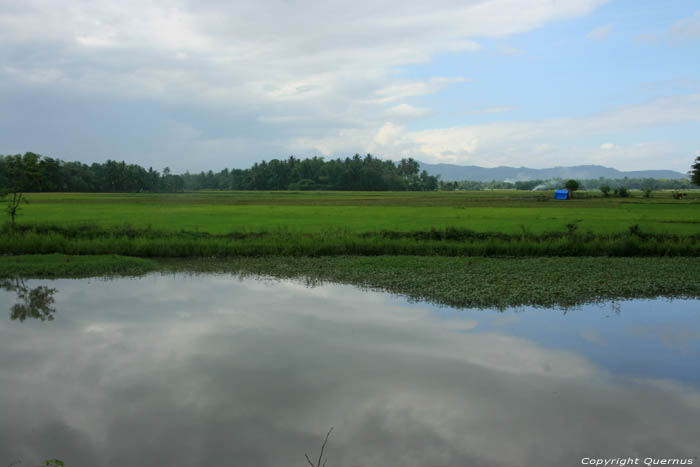 Paysage Nabua / Philippines 