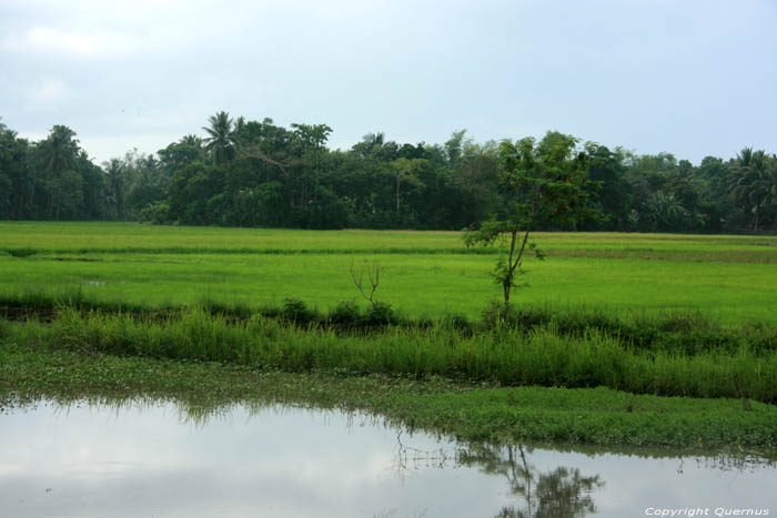 Landschap Nabua / Filippijnen 