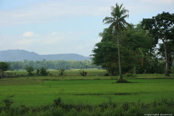 Landscape Nabua / Philippines 