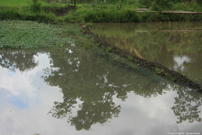 Landscape Nabua / Philippines 