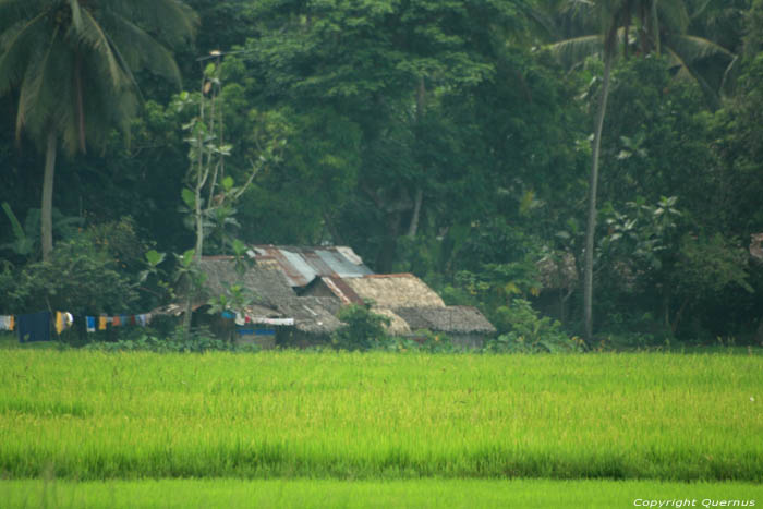 Landscape Nabua / Philippines 