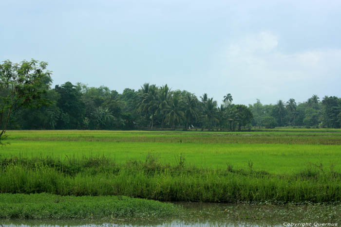 Landscape Nabua / Philippines 