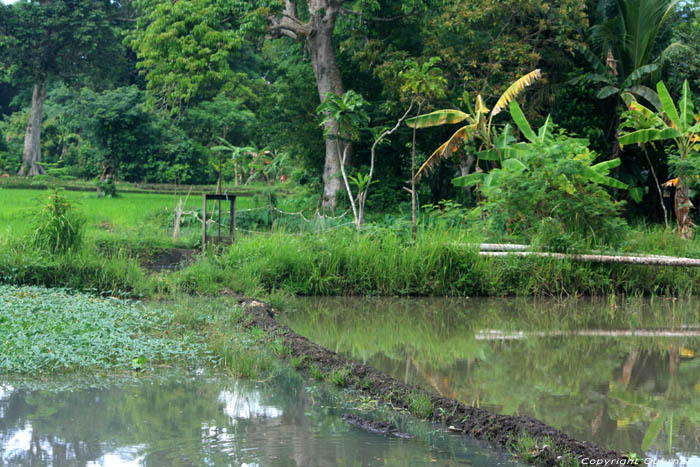 Paysage Nabua / Philippines 