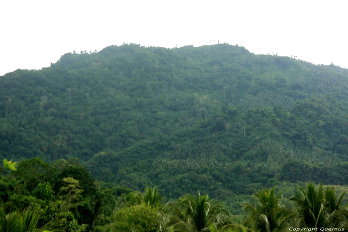 Woudlandschap (te San Vincente Gorong-Gorong) Nabua / Filippijnen 