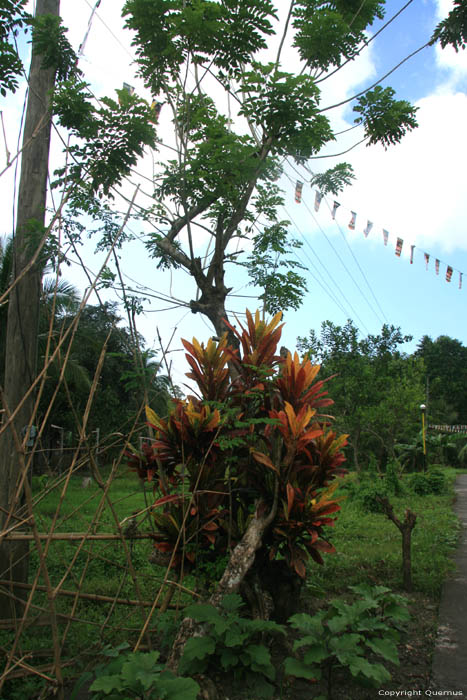 Paysage Pilar / Philippines 