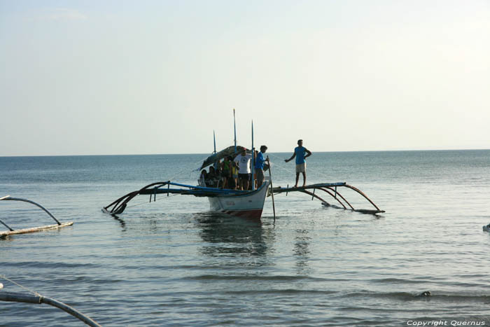 Cte Donsol Donsol / Philippines 