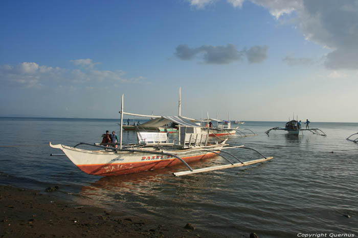 Donsol Coast Donsol / Philippines 