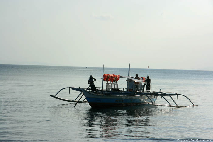 Cte Donsol Donsol / Philippines 