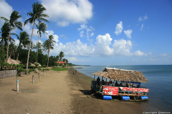 Donsol Coast Donsol / Philippines 