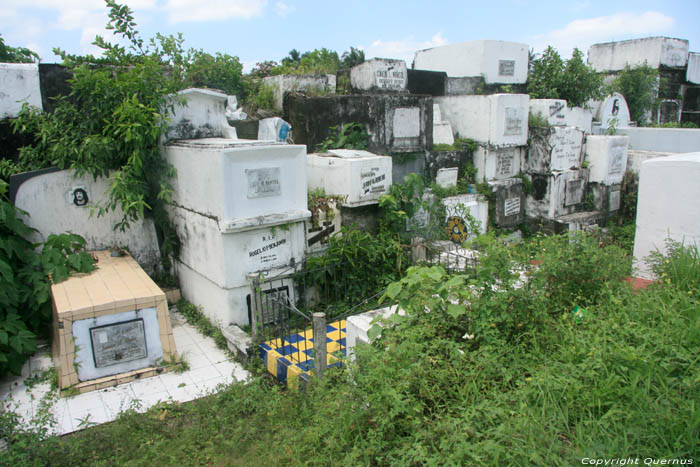 Graveyard Donsol / Philippines 