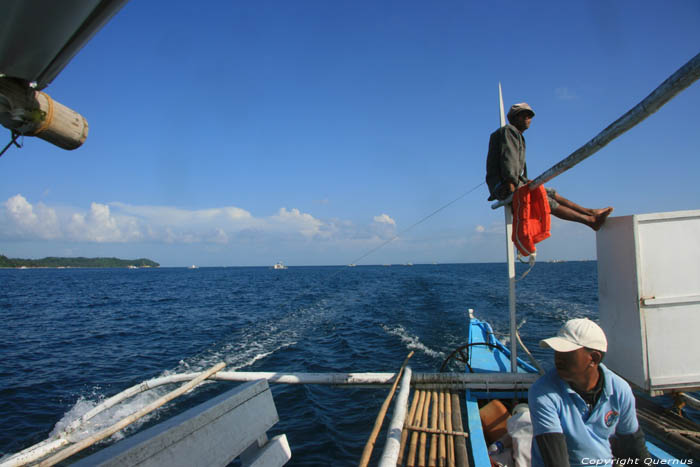 Butanding - Whaleshark searching Donsol / Philippines 