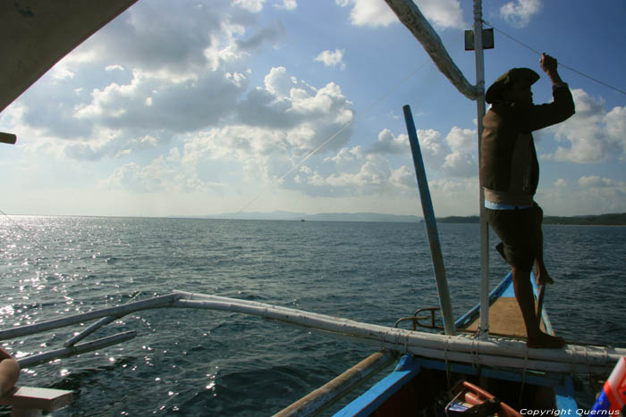 Butanding - Whaleshark searching Donsol / Philippines 